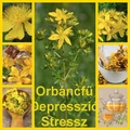 Orbáncfű depresszió, stressz