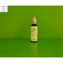 Original Bach Walnut Dió virágesszencia 20ml Original Bach Walnut Dió virágesszencia 20ml