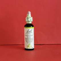 Bach-virág: Original Chestnut Bud Vadgesztenye rügy (7) 20ml