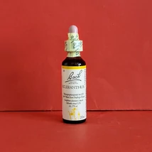 Bach-virág: Original Scleranthus Szikárka (28) 20ml