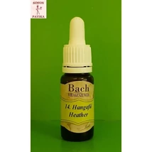 Hangafű 14. Bach virágesszencia