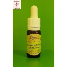 Vörösvirágú vadgesztenye 25. Bach virágesszencia