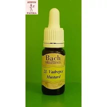 Vadrepce 21. Bach virágesszencia