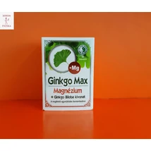 Ginkgo Max Magnézium Ginkgo tabletta Dr.Chen