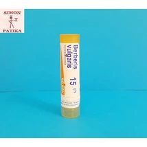 Berberis vulgaris C15 Boiron 4g Berberis vulgaris C15 Boiron 4g