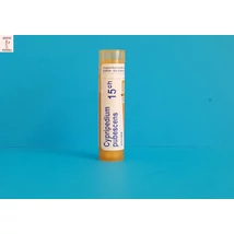 Cypripedium pubescens golyócskák C 15 Boiron 4g Cypripedium pubescens golyócskák C 15 Boiron 4g