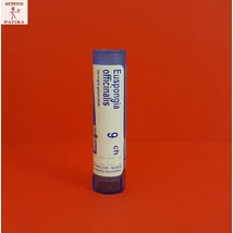 Euspongia officinalis C9 Boiron 4g Euspongia officinalis C9 Boiron 4g