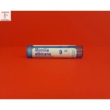 Monilia albicans C9 Boiron 4g