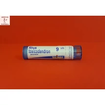 Rhus toxicodendron C9 Boiron 4g Rhus toxicodendron C9 Boiron 4g