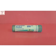 Lycopodium clavatum C200 Boiron 4g