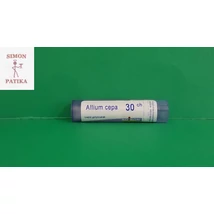 Allium Cepa C30 Boiron 4g
