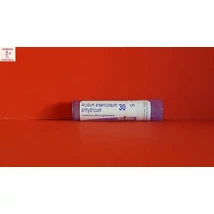 Acidum arsenicosum anhydricum Arsenicum album C30 4g