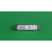 Eupatorium perfoliatum C30 Boiron 4g Eupatorium perfoliatum C30 Boiron 4g