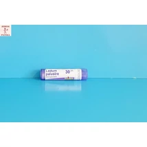 Ledum palustre C30 Boiron 4g