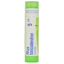 RHUS TOXICODENDRON GOLYÓCSKÁK 5CH RHUS TOXICODENDRON GOLYÓCSKÁK 5CH