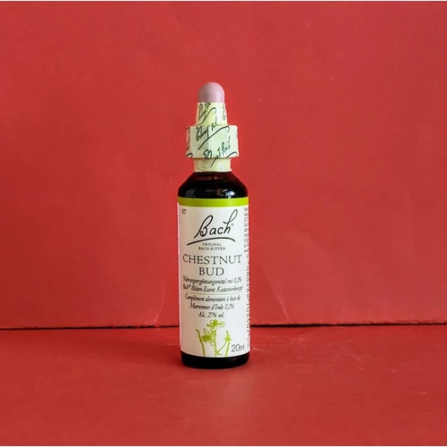 Bach-virág: Original Chestnut Bud Vadgesztenye rügy (7) 20ml
