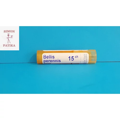 Bellis perennis C15 Boiron 4g