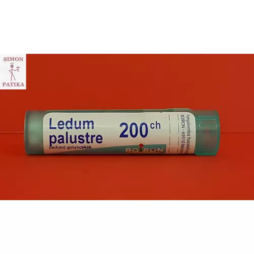 Ledum palustre C 200 4g Boiron