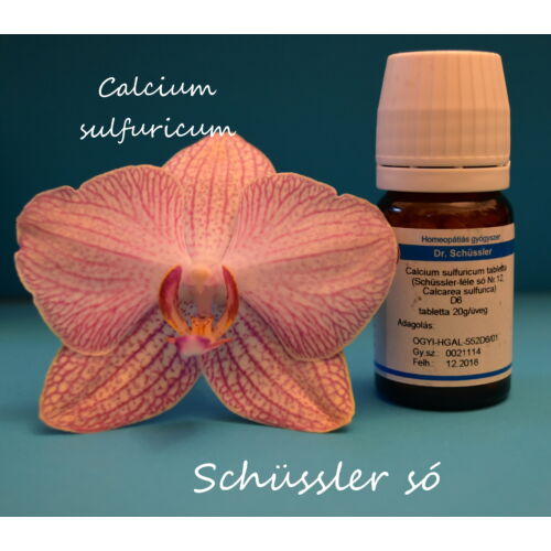 Calcium sulfuricum tabletta Schüssler só Nr.12. D6 80db