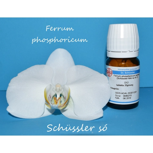 Ferrum phosphoricum tabletta Schüssler só Nr.3. D12 80db