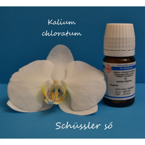 Kalium chloratum tabletta Schüssler só Nr.4.D6 80db