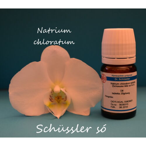 Natrium chloratum tabletta Schüssler só Nr. 8. D6 80db