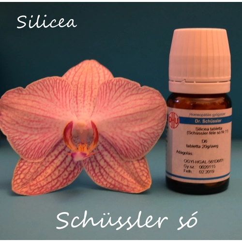 Silicea tabletta Schüssler só Nr.11. D12 80db